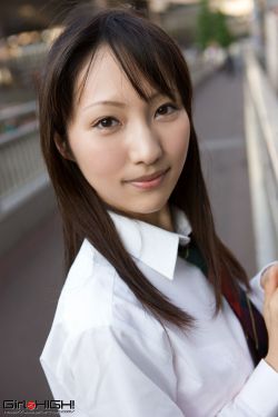 灰猴