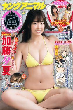 十全九美2
